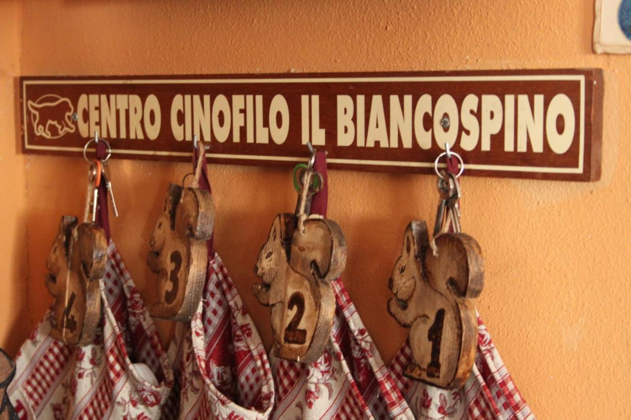 Il Biancospino Villa Casteggio Eksteriør billede